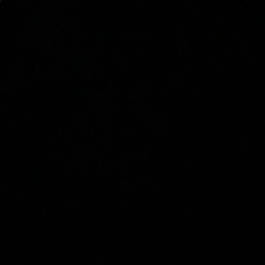 Meet your Posher, Dalia